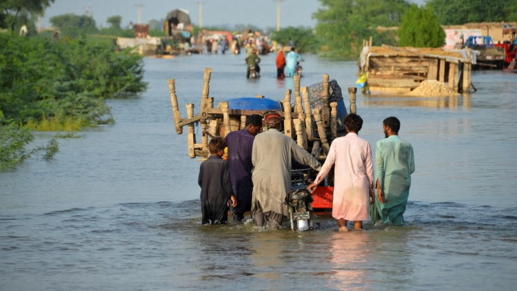Pakistan khẩn trương khắc phục hậu quả mưa lũ, ưu tiên bảo vệ người dân và hạ tầng trọng yếu