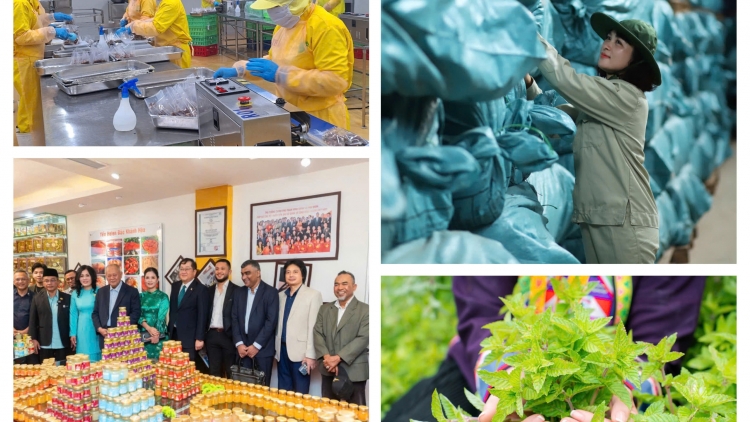 Tiêu chuẩn Halal: Nền tảng cho xuất khẩu nông sản sang các nước Hồi giáo 