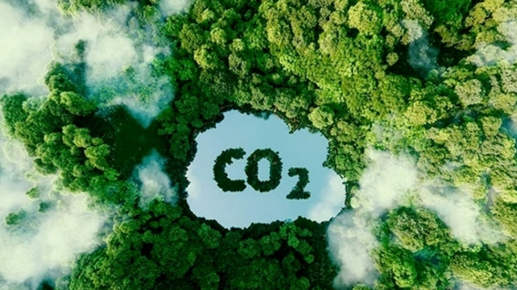 Thị trường Carbon không chỉ đáp ứng yêu cầu tuân thủ, mà còn là kênh đầu tư cho doanh nghiệp