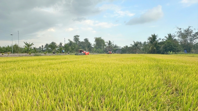 Chuyển đổi xanh để tạo thêm giá trị
