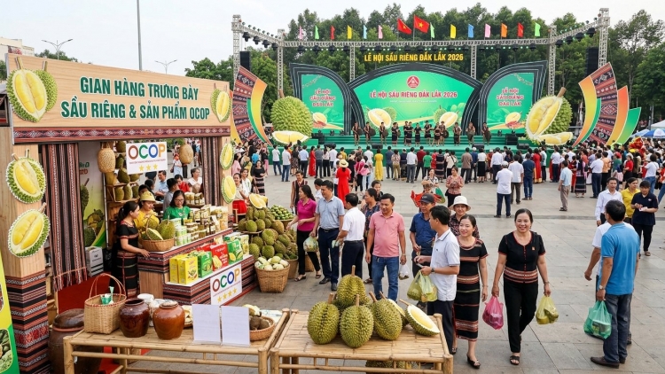 Sầu riêng Đắc Lắc, từ liên kết nông sản đển vị thế toàn cầu