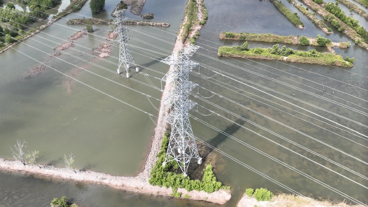 Hoàn thành Dự án TBA 220kV Năm Căn và Đường dây 220kV Năm Căn - Cà Mau 2