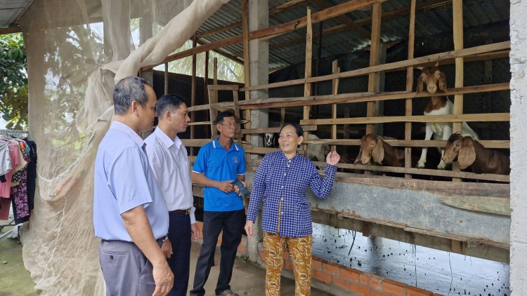Vốn ưu đãi tiếp sức nông dân phát triển kinh tế 