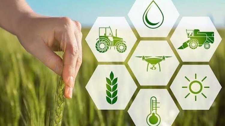 Đưa công nghệ và tư duy xanh vào sản xuất nông nghiệp