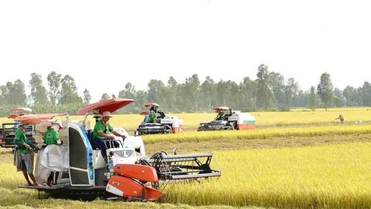 Kỳ tích xuất khẩu 70 tỷ USD: Dấu ấn chính sách nông nghiệp Việt Nam 40 năm đổi mới
