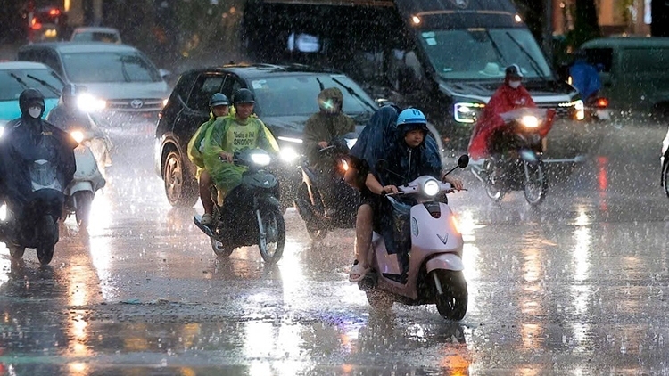 Dự báo thời tiết ngày 7/8: Mưa lớn bao trùm Bắc Bộ về đêm và sáng sớm