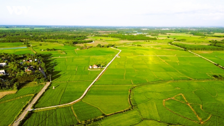 Quảng Trị: Hiện thực hóa Nghị quyết của Đảng bằng chiến lược nông nghiệp xanh