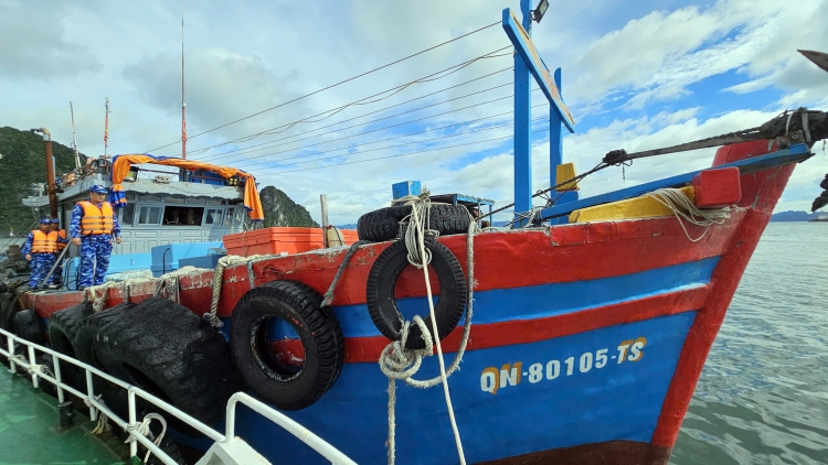 Bộ Tư lệnh Vùng Cảnh sát biển 1 bàn giao tàu cá vi phạm cho tỉnh Quảng Ninh