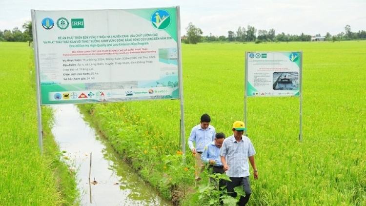 Canh tác tiết kiệm, nâng hiệu quả sản xuất