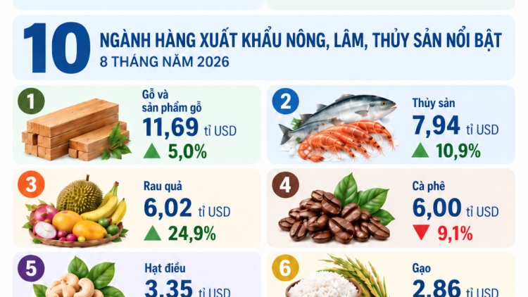 Xuất khẩu rau quả, gỗ vượt khó tăng trưởng (11/09/2026)