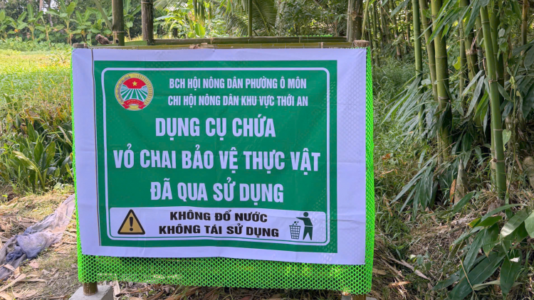 Gom rác thải – sống xanh hơn