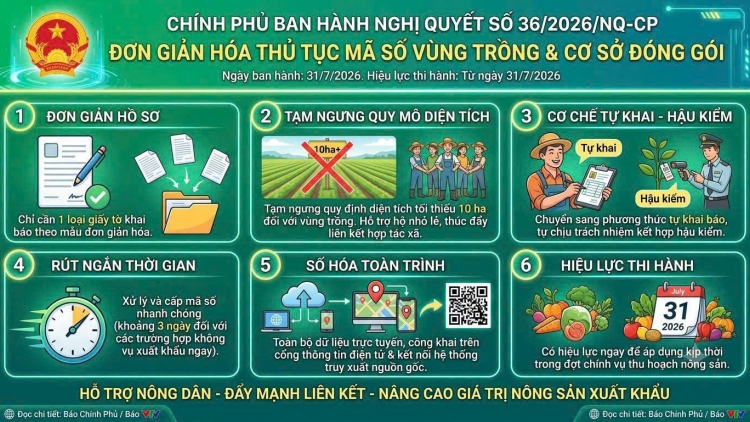 Mã số vùng trồng: Trao quyền đi cùng trách nhiệm