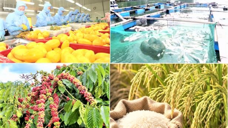 Thời sự 6h 29/9/2026: Nông nghiệp tăng tốc, hướng tới mốc xuất khẩu hơn 74 tỷ USD