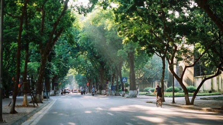Dự báo thời tiết ngày 06/09/2026: Bắc Bộ ngày nắng, Trung Bộ và Nam Bộ mưa dông