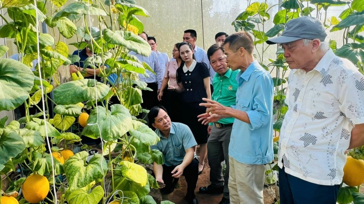 Hà Nội đưa chính sách nông nghiệp mới đến gần hơn với nông dân Thủ đô