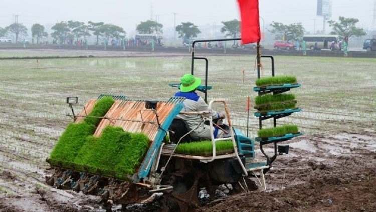  Khuyến nông Hà Nội đổi mới, đồng hành cùng nông dân