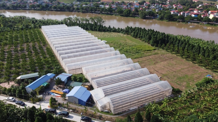 Hà Nội tăng cường quản lý tài nguyên, bảo vệ môi trường trong sản xuất nông nghiệp 
