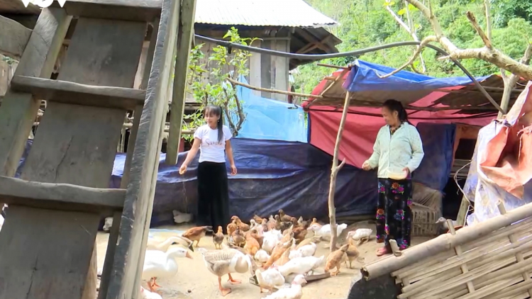 Xã Bum Nưa – Lai Châu hỗ trợ phụ nữ dân tộc thiểu số phát triển kinh tế