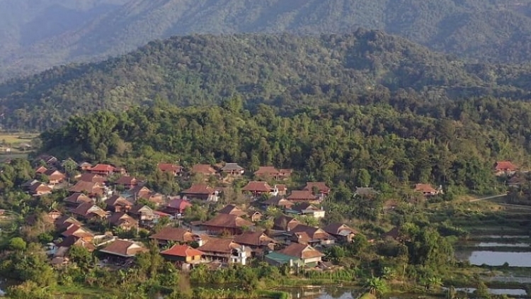 Giữ rừng bắt đầu từ sinh kế 