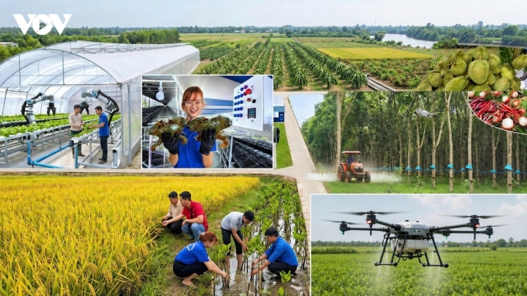Phát triển hợp tác xã từ chủ trương chính sách đến thực tế sản xuất 