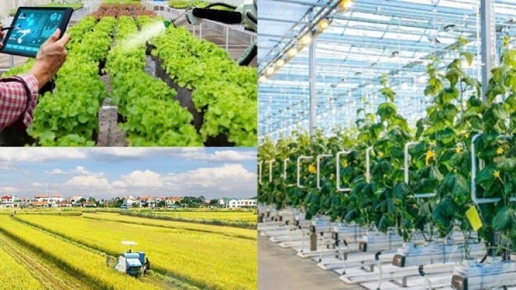 Khơi thông nguồn lực, tạo động lực phát triển kinh tế nông thôn (03/10/2026)