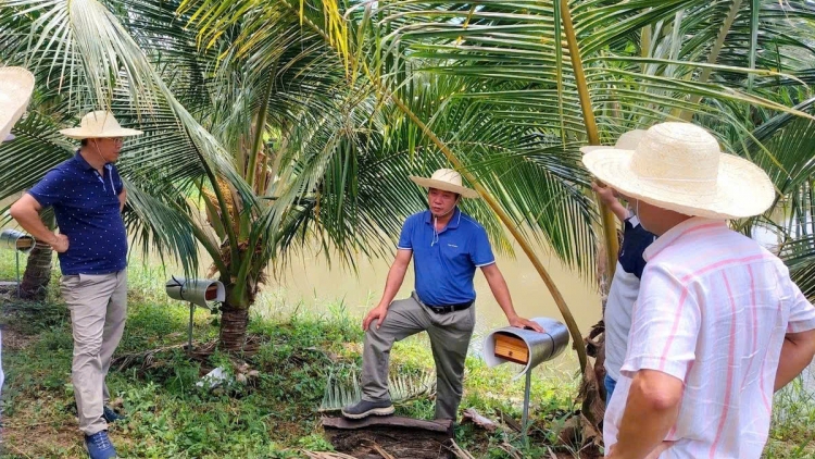 Nuôi ong dú sinh thái: Cách làm nông nghiệp xanh ở nông trại Sản Việt, tỉnh Khánh Hòa