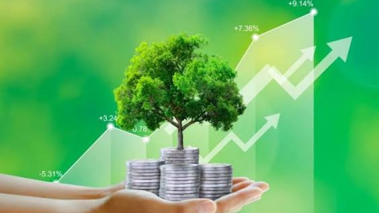 Đa dạng kênh vốn xanh - không chỉ trông vào tín dụng ngân hàng