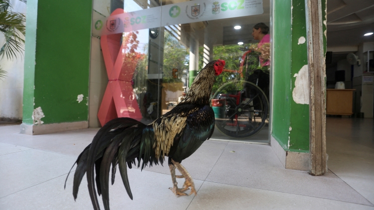 Theo dòng thời sự chiều 25/10/2026
