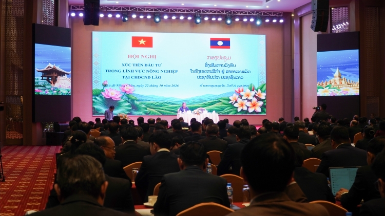 Bản tin 15h 23/10/2026