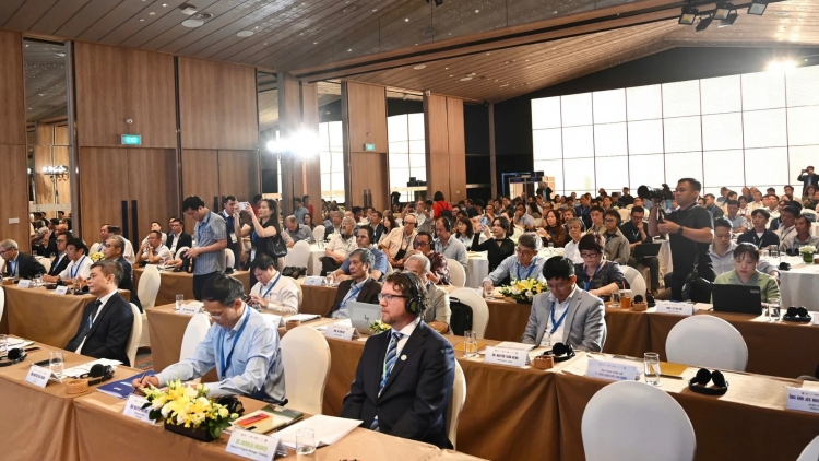 Phát triển cây keo bền vững và bài toán kinh tế cho hơn 1 triệu hộ dân