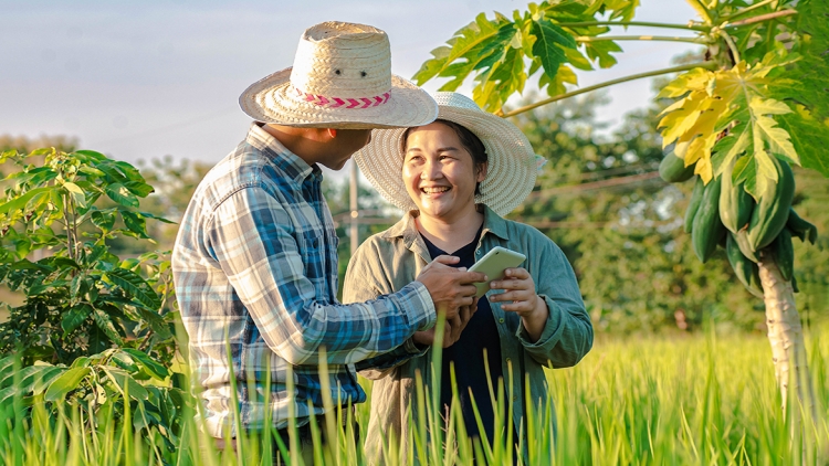 Nông dân chủ động chuyển đổi số