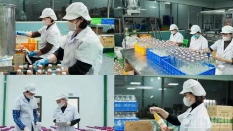 Trao niềm tin, khơi nguồn lực, phát huy sức mạnh doanh nghiệp, doanh nhân Việt