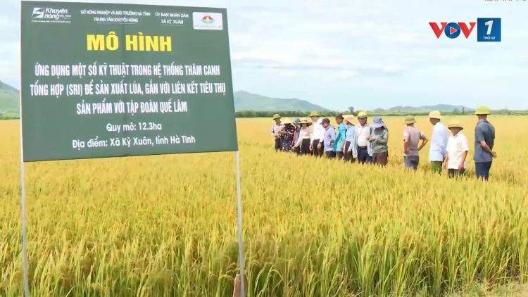 Hà Tĩnh "chuyển đổi kép" đưa khoa học, công nghệ vào sản xuất nông nghiệp