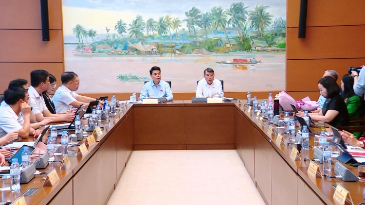 Luật Đấu giá tài sản (sửa đổi) phải đồng bộ, gắn với quản lý giá đất và bất động sản