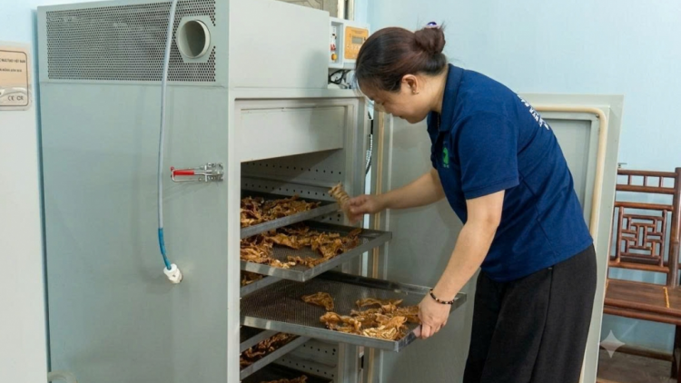 Măng khô Chợ Đồn: Từ sản vật quen thuộc đến sản phẩm OCOP