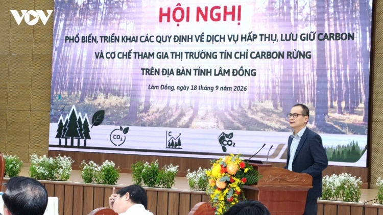Lâm Đồng phát huy giá trị kinh tế rừng, mở hướng đi mới từ tín chỉ carbon