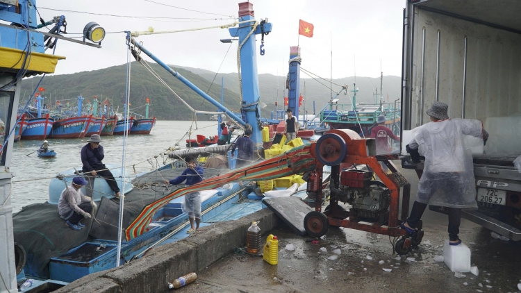 Chống khai thác IUU: Chuyển từ quản lý hành chính sang quản lý bằng dữ liệu