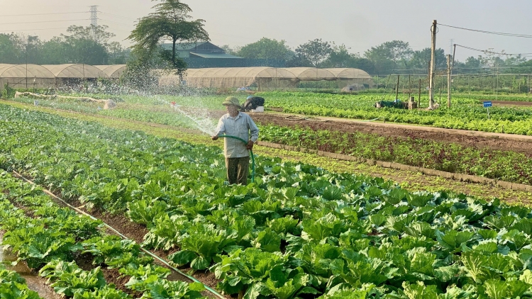 Khuyến nông cùng Jica giúp nông dân thay đổi theo tư duy thị trường