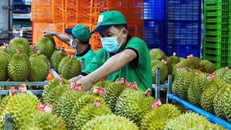 Chủ động trước những thay đổi về an toàn thực phẩm và kiểm dịch của thị trường thế giới