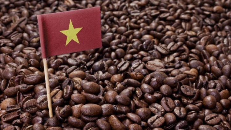 Bản tin 15h 19/10/2026