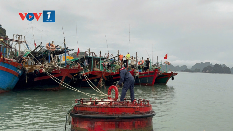 Quảng Ninh siết quản lý tàu cá, chủ động ngăn vi phạm IUU