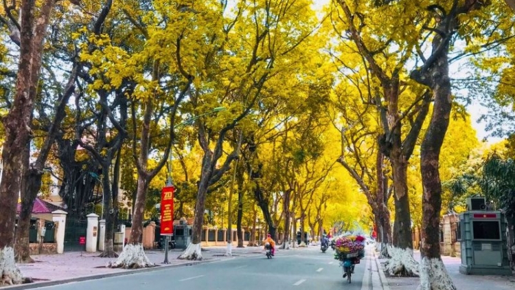 Dự báo thời tiết ngày 6/10/2026: Bắc Bộ trời lạnh, có nơi chuyển rét, Trung Bộ mưa lớn diện rộng