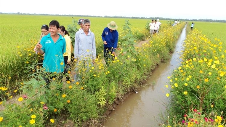 Canh tác nông nghiệp thích ứng và giảm thiểu biến đổi khí hậu (28/1/2016)