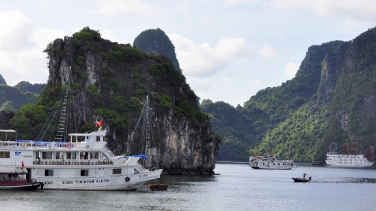 Nguyên nhân nào dẫn đến hiện tượng ô nhiễm dầu trên Vịnh Hạ Long? (21/12/2015)