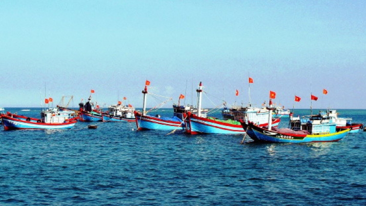 Nghiệp đoàn nghề cá - Ngôi nhà chung của ngư dân (08/01/2016)
