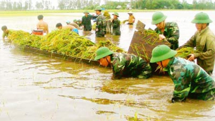 Phổ biến luật phòng chống thiên tai (20/12/2015)