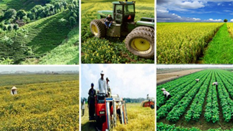Những khó khăn cản đường phát triển của Hợp tác xã (20/3/2016)