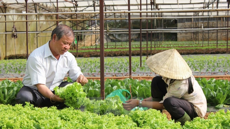 Xây dựng chuỗi sản xuất cho thực phẩm an toàn (01/4/2016)
