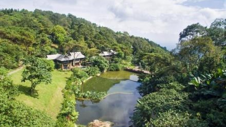 Có hay không sự thoả thuận ngầm trong vụ xây dựng khu nghỉ dưỡng tại Vườn quốc gia Ba Vì? (Thời sự chiều 2/3/2016)