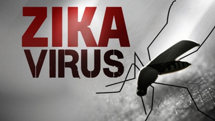 Bộ Y tế  quyết định thành lập 8 đoàn kiểm tra công tác phòng chống dịch bệnh do virus Zika tại 16 tỉnh, thành trọng điểm (Thời sự đêm 31/3/2016)